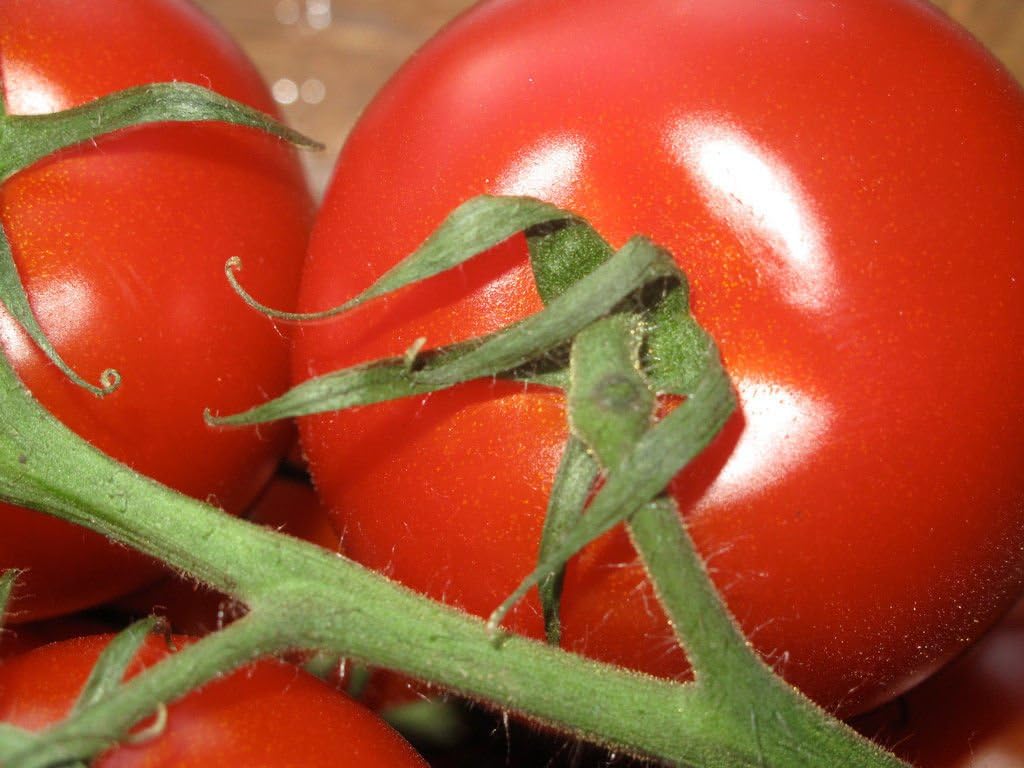 25 Seeds Campari ,Sweet Vine Tomatoes
