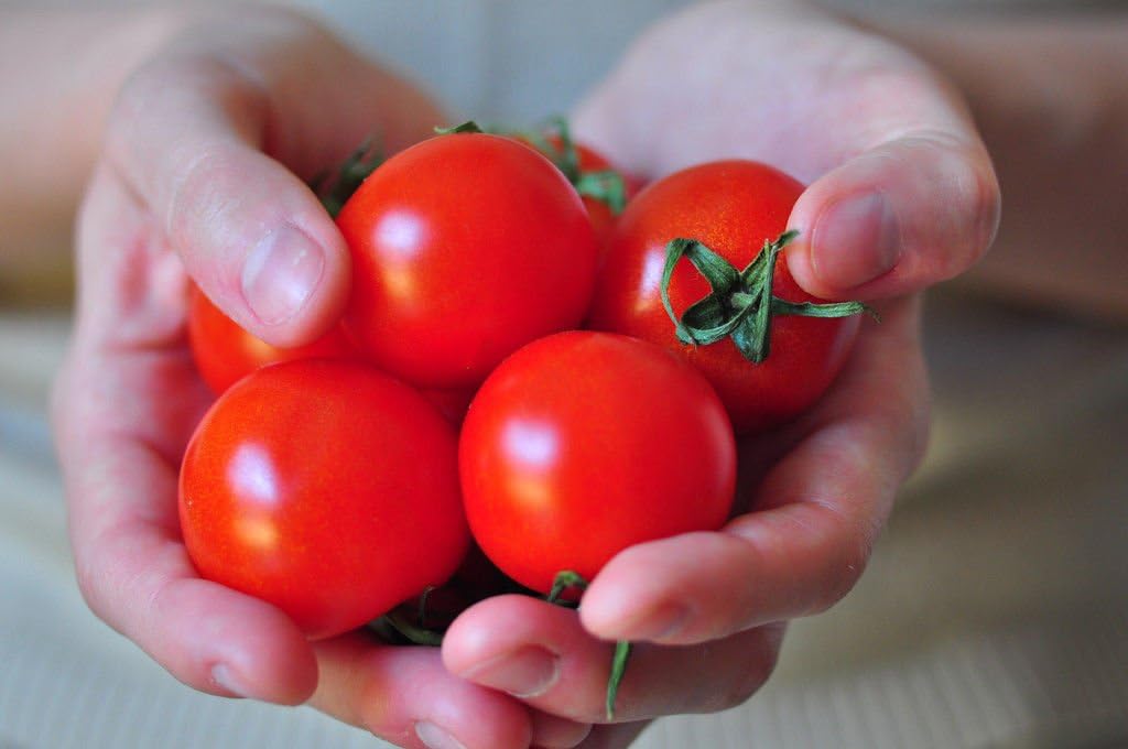 25 Seeds Campari ,Sweet Vine Tomatoes