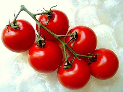 25 Seeds Campari ,Sweet Vine Tomatoes