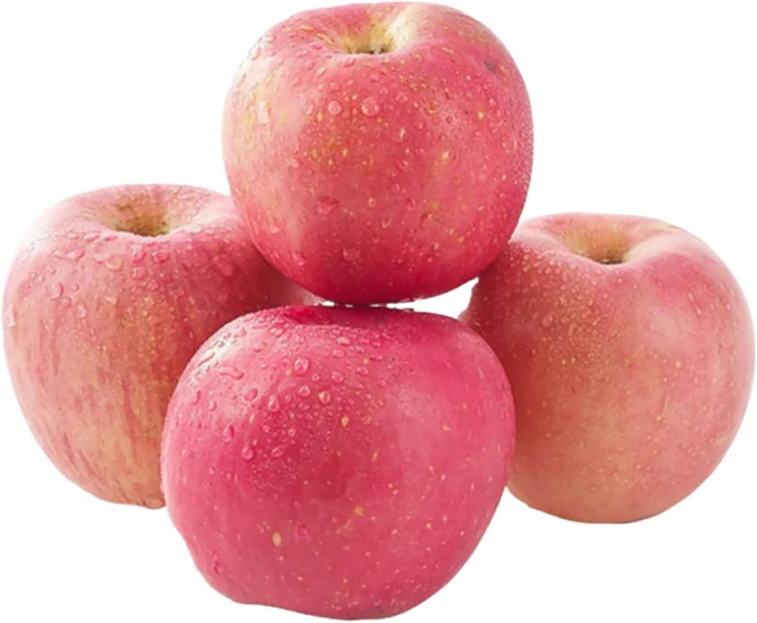 20 Seeds Fuji Apple GMO Free Seeds