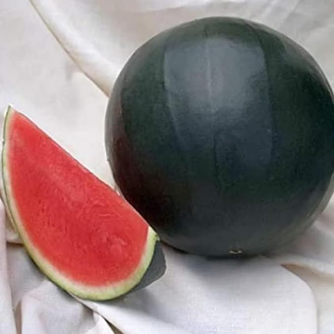 100 Seeds Rare Densuke Watermelon Seeds