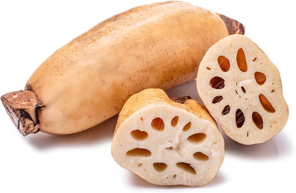 40 Seeds Lotus Root Seeds