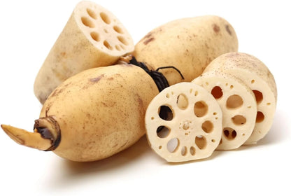 40 Seeds Lotus Root Seeds