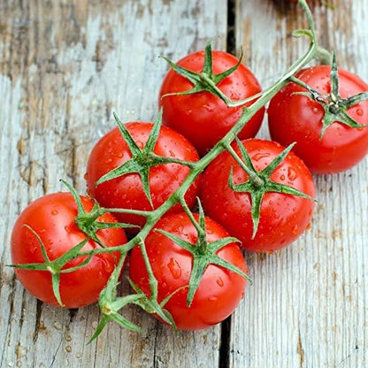 2000 Seeds Cherry Tomato GMO-Free Seeds