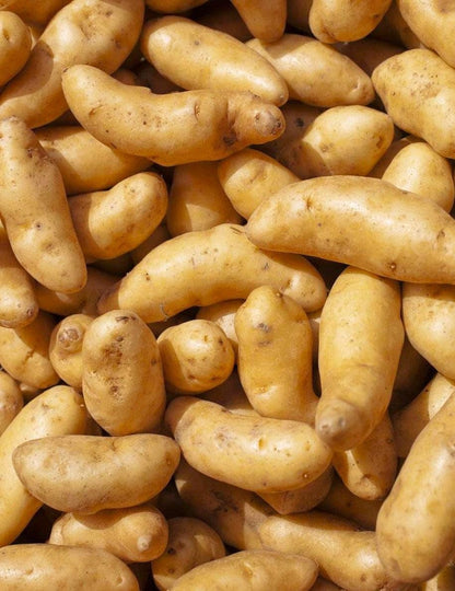 50 Seeds Fingerling Potato Seeds