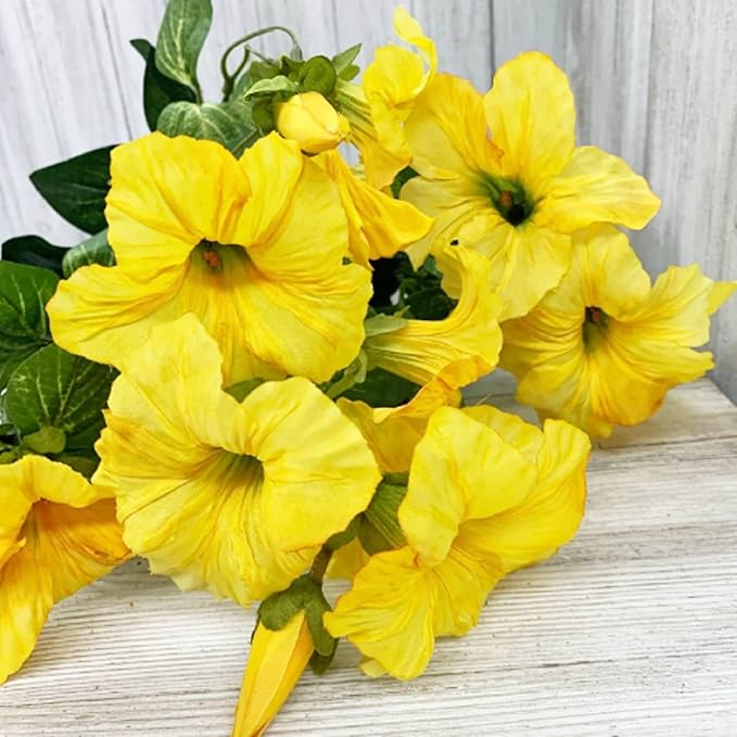 100 Seeds Yellow Morning Glory Seeds