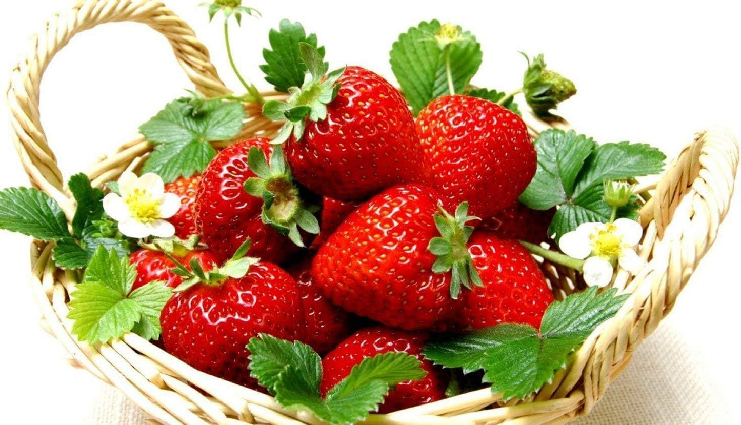 300 Seeds Giant Strawberry Seeds