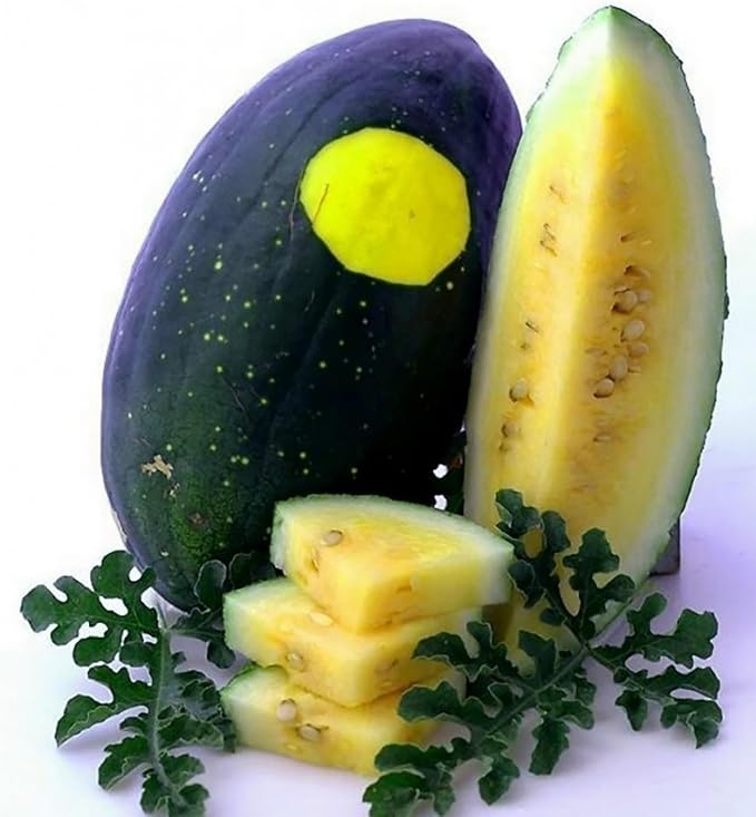 50 Seeds Moon & Stars Yellow Watermelon Non-GMO Seeds