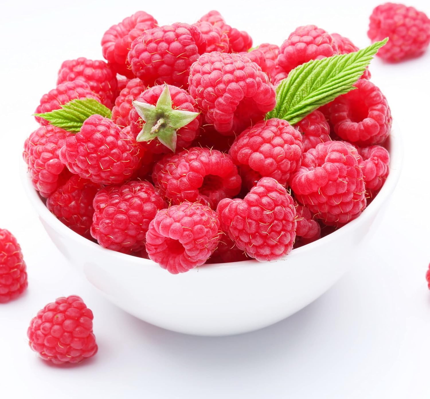 100 Red Raspberry (Rubus Idaeus)Non-GMO Seeds