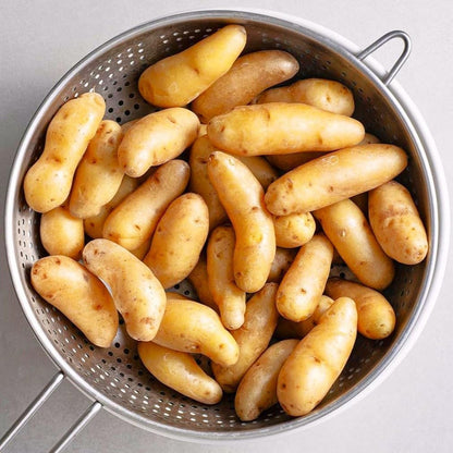 50 Seeds Fingerling Potato Seeds