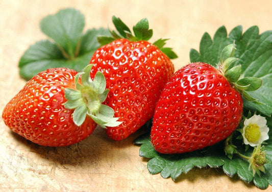 300 Seeds Giant Strawberry Seeds