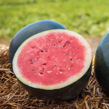 100 Seeds Rare Densuke Watermelon Seeds