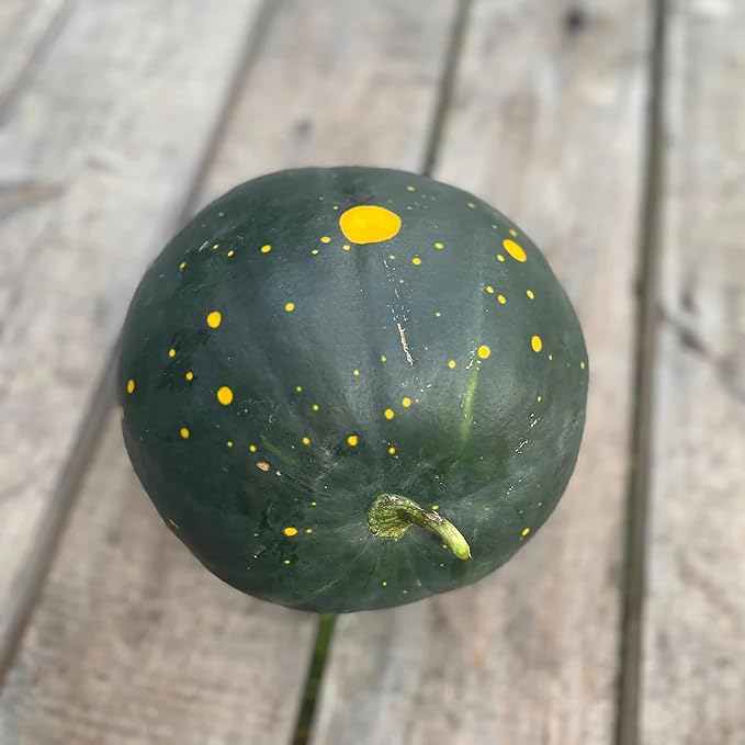 50 Seeds Moon & Stars Yellow Watermelon Non-GMO Seeds