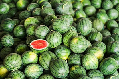 50 Seeds Baby Watermelon Non-GMO Seeds