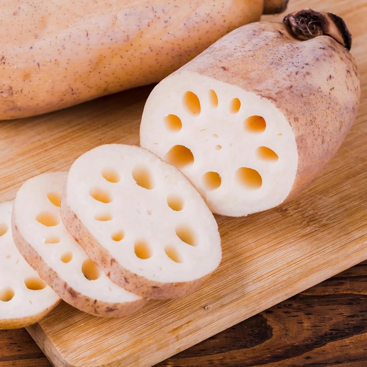 40 Seeds Lotus Root Seeds