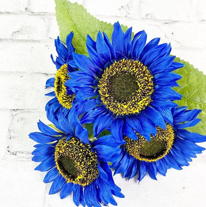 50 Seeds Rare Bright Blue Sunflower Seeds