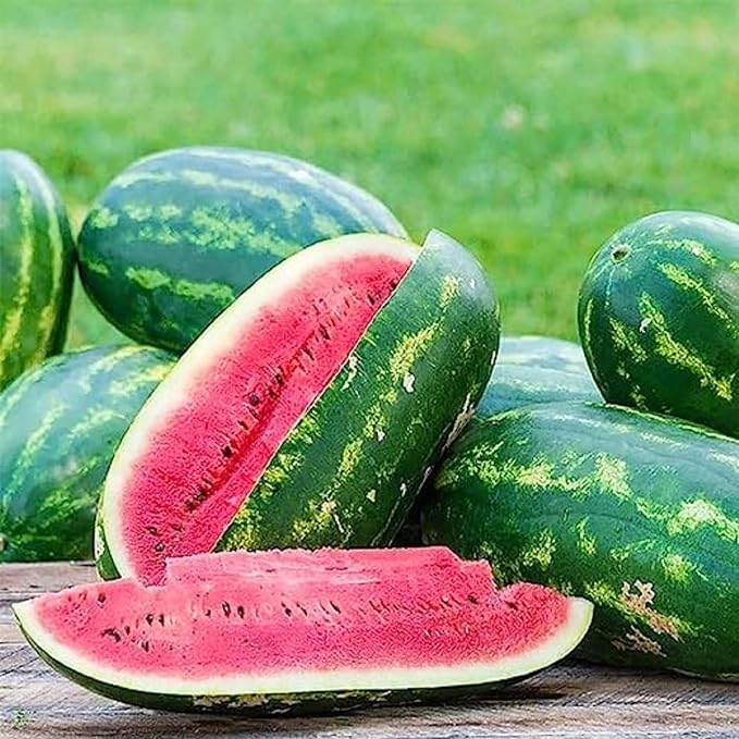 25 Seeds Carolina Cross Watermelon Seeds