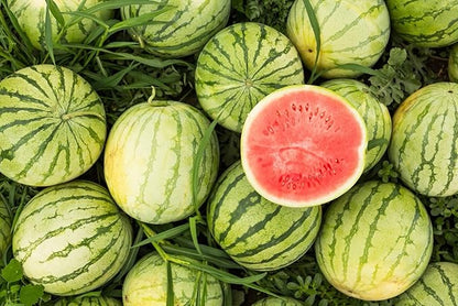 50 Seeds Baby Watermelon Non-GMO Seeds