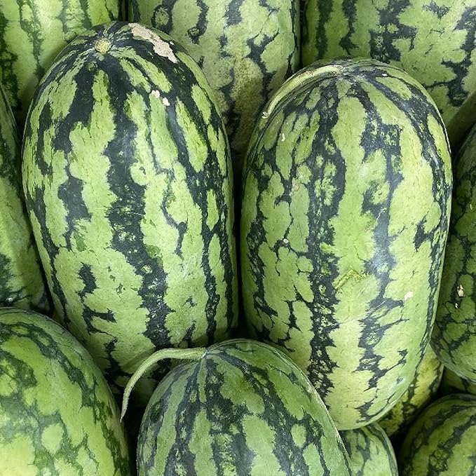 50 Seeds Green Watermelon Fruit Seed