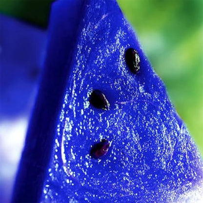 50 Seeds,Rare Blue Watermelon Fruit Non-GMO Seed