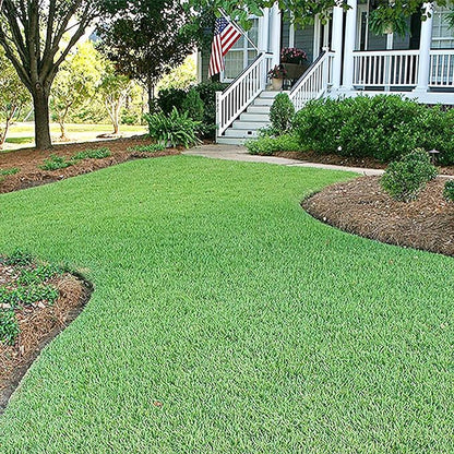 56g Seed Zoysia 'Emerald' All Season Ornamental Grass Seed